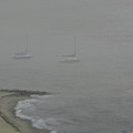 FOGGY SHORE